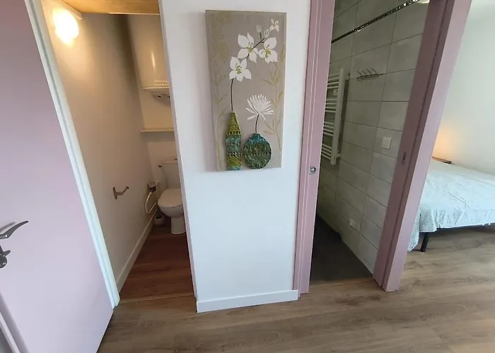 Apartament La Roseraie Du Chateau Climatise! *