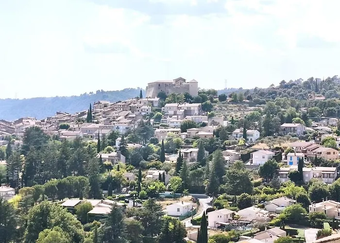 La Roseraie Du Château Climatisé! *