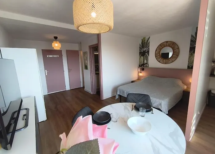 La Roseraie Du Château Climatisé! Appartement *